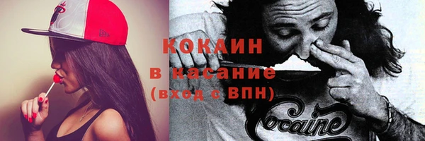 соль ск Белокуриха