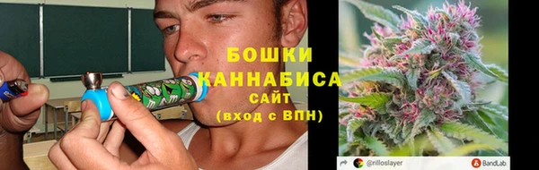 соль ск Белокуриха
