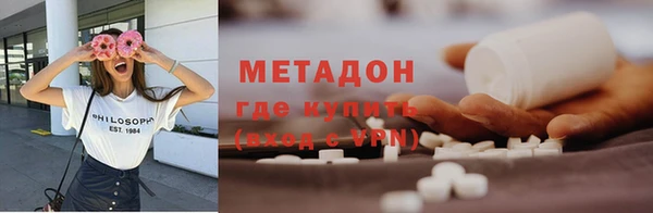 прущие грибы Беломорск