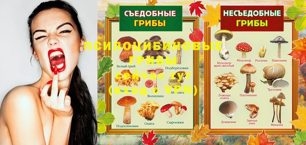 прущие грибы Беломорск