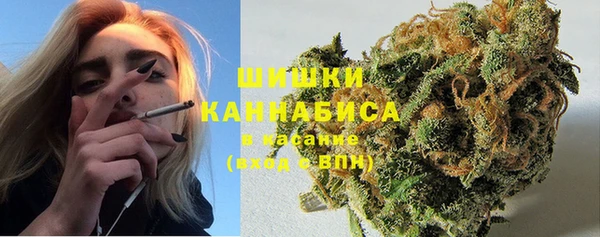 соль ск Белокуриха
