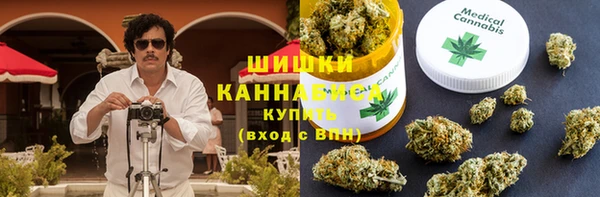 соль ск Белокуриха