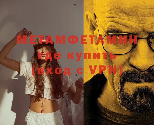 прущие грибы Беломорск