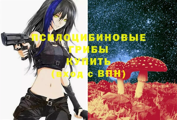 соль ск Белокуриха