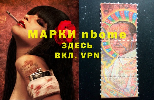 прущие грибы Беломорск