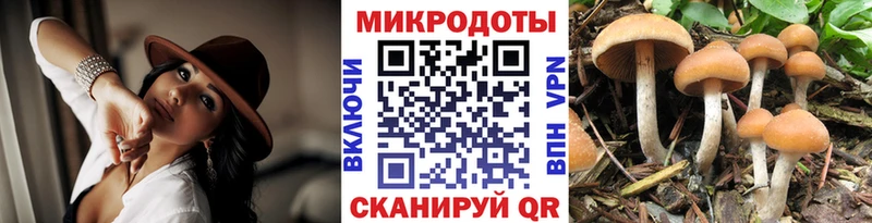 где можно купить наркотик  Верхний Тагил  Галлюциногенные грибы GOLDEN TEACHER 